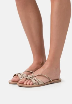 Anna Field Muiltjes - Brown